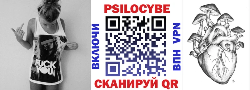 мега вход  Тында  Псилоцибиновые грибы ЛСД  закладка 