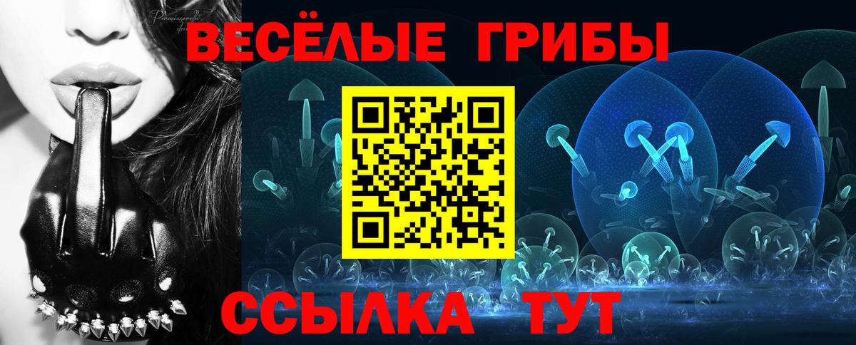 Галлюциногенные грибы Magic Shrooms Тында
