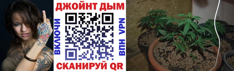 купить закладку  Тында  Шишки марихуана OG Kush 